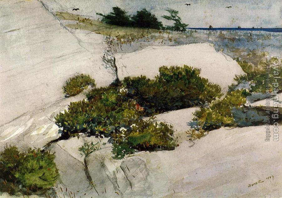 Winslow Homer : Maine Cliffs